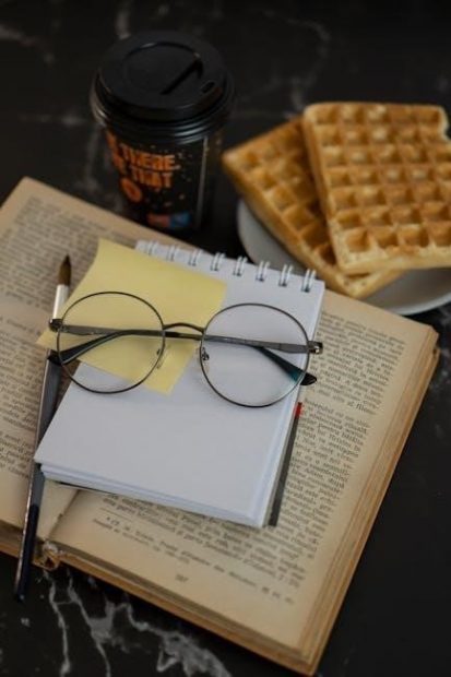 black decker waffle maker instructions